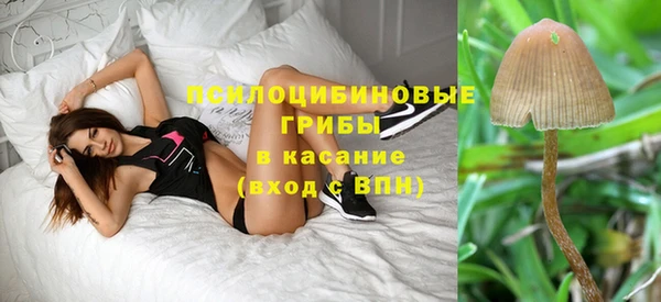 мдма Инта