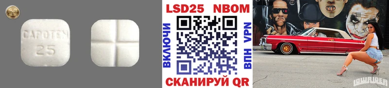 Купить закладки  Волчанск  Лсд 25 экстази кислота 